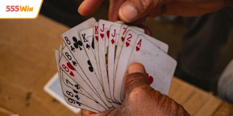 Điểm nổi bật thu hút thành viên tham gia